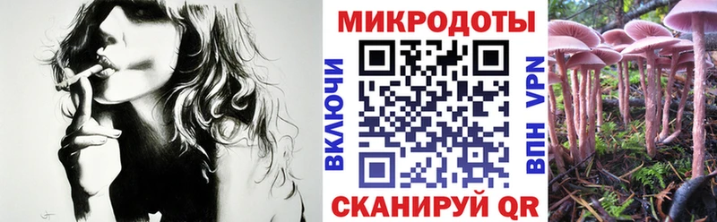 kraken зеркало Орск Галлюциногенные грибы MAGIC MUSHROOMS